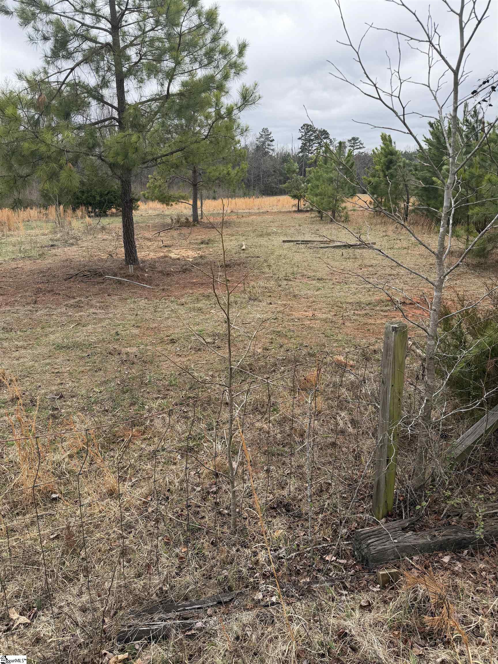 Mt Bethel Road Pickens, SC 29671 - Photo 4 of 9