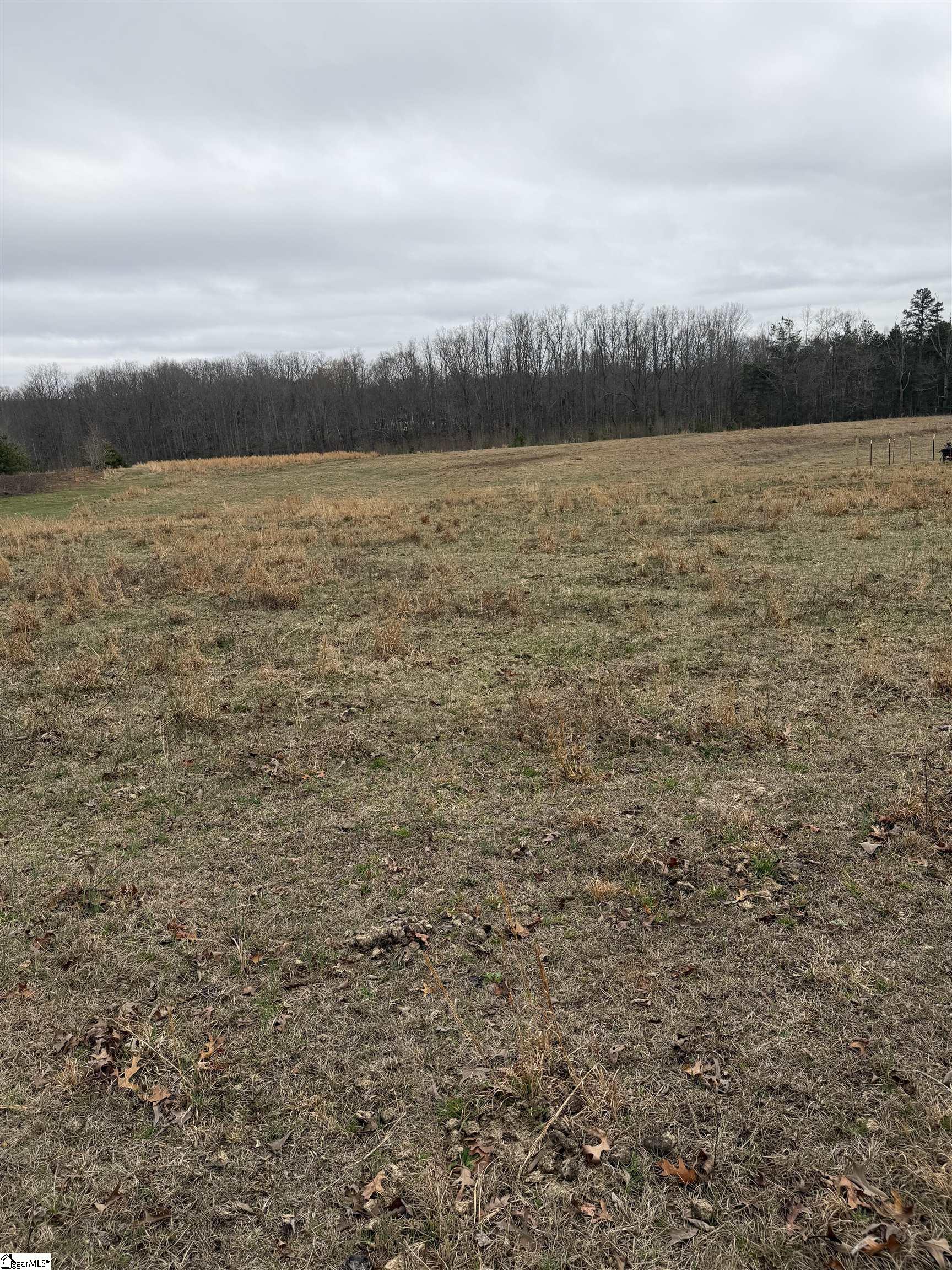 Mt Bethel Road Pickens, SC 29671 - Photo 5 of 9