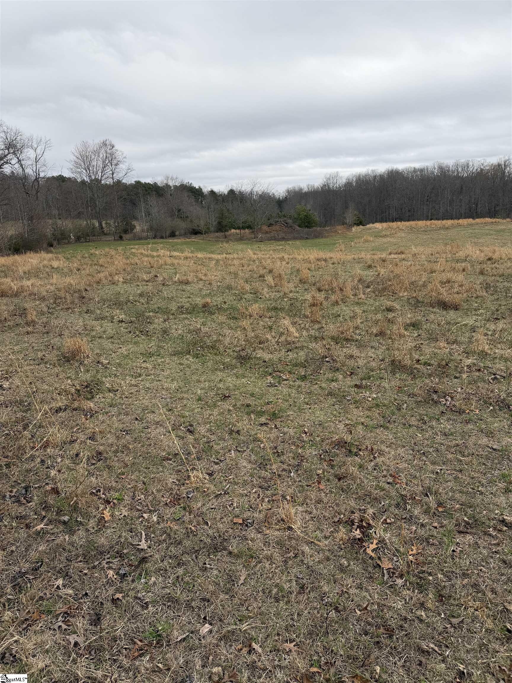 Mt Bethel Road Pickens, SC 29671 - Photo 6 of 9