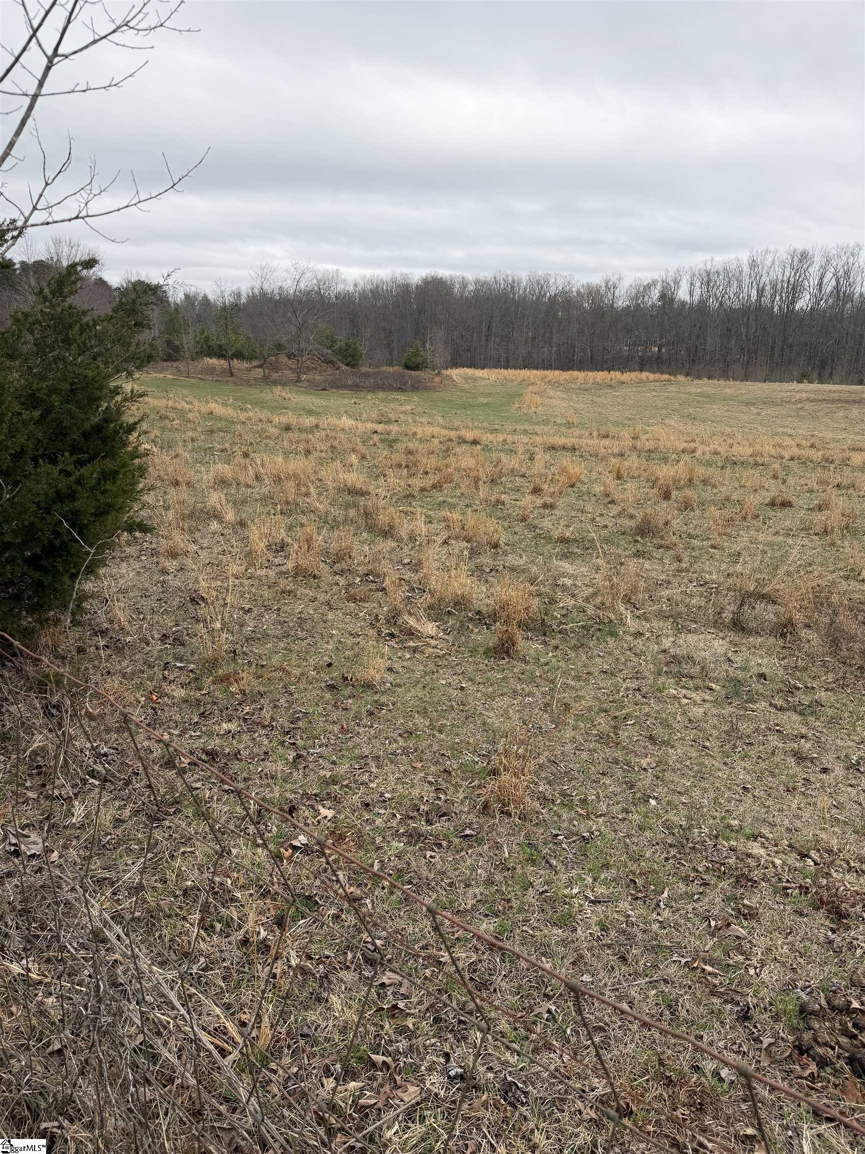 Mt Bethel Road Pickens, SC 29671 - Photo 8 of 9