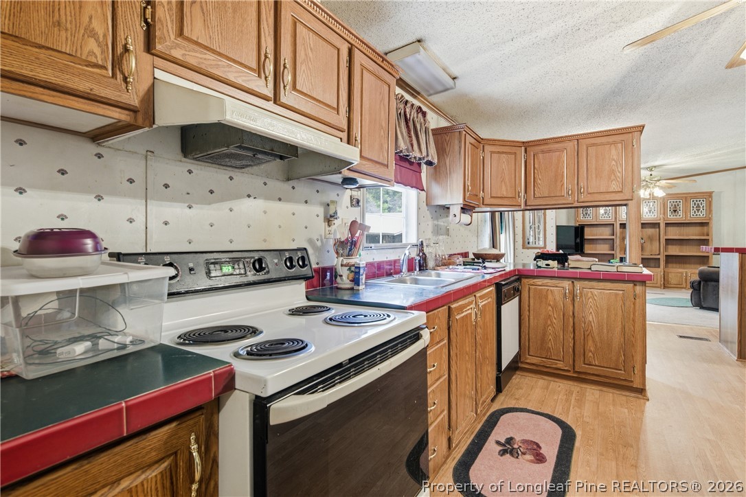 7307 Roslin Farm Road Hope Mills, NC 28348 - Photo 17 of 46 a kitchen with a stove and a sink