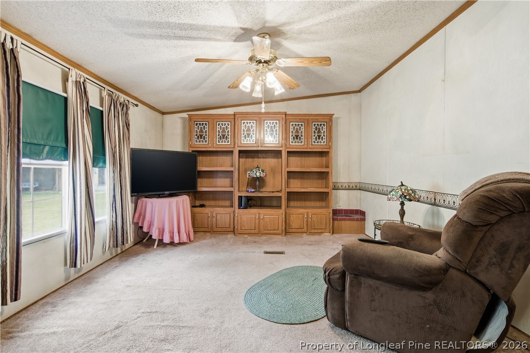 7307 Roslin Farm Road Hope Mills, NC 28348 - Photo 25 of 46 a living room with furniture a flat screen tv and a window