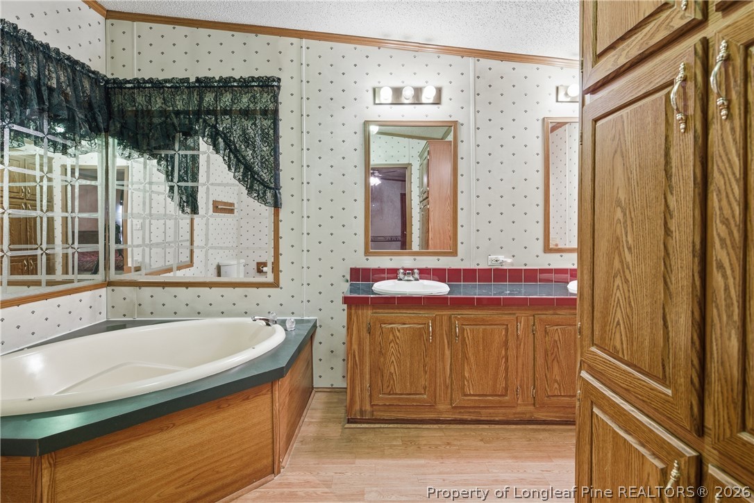 7307 Roslin Farm Road Hope Mills, NC 28348 - Photo 28 of 46 a bathroom with a tub a sink and a mirror