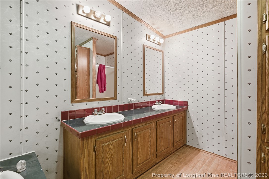 7307 Roslin Farm Road Hope Mills, NC 28348 - Photo 29 of 46 a bathroom with a granite countertop sink a mirror a vanity and a shower