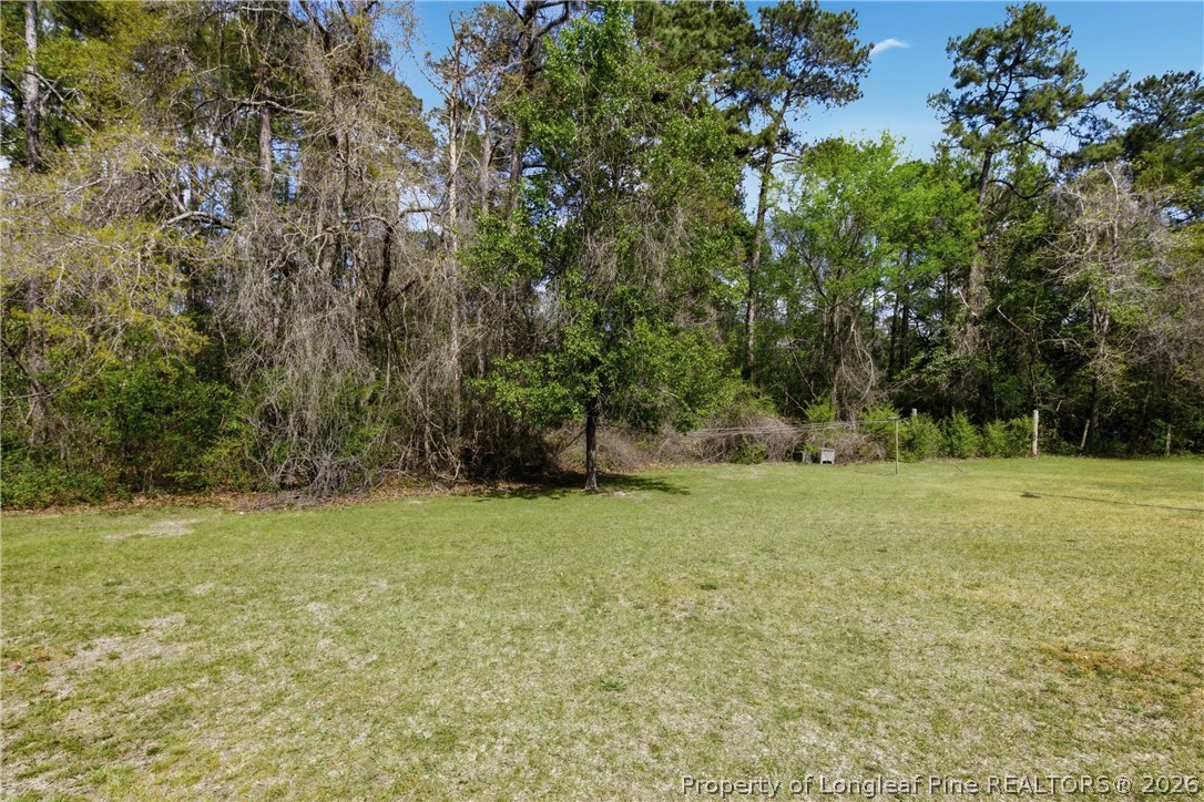 7307 Roslin Farm Road Hope Mills, NC 28348 - Photo 39 of 46 a view of a field with trees