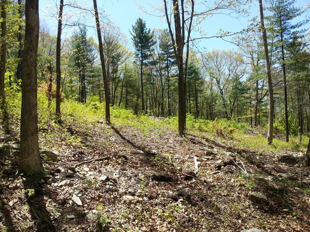 172 Mendon Road Sutton, MA 01590 - Photo 2 of 10 Gallery Image 2