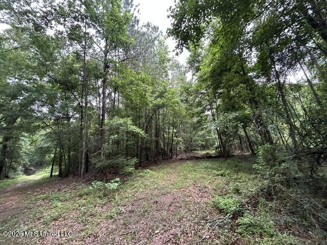 301 Freeman Road Southwest Summit, MS 39666 - Photo 20 of 43 IMG_4604