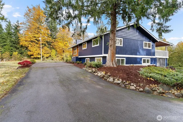 a view of a backyard