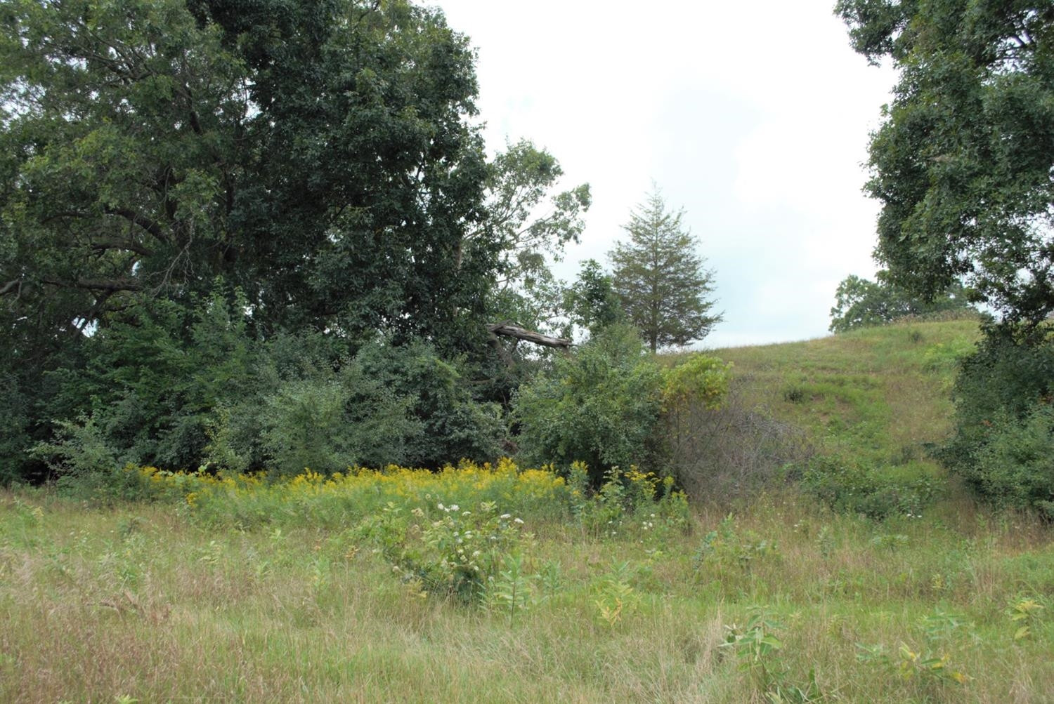 0 Madden Road Dexter, MI 48130 - Photo 12 of 17 Photo 12