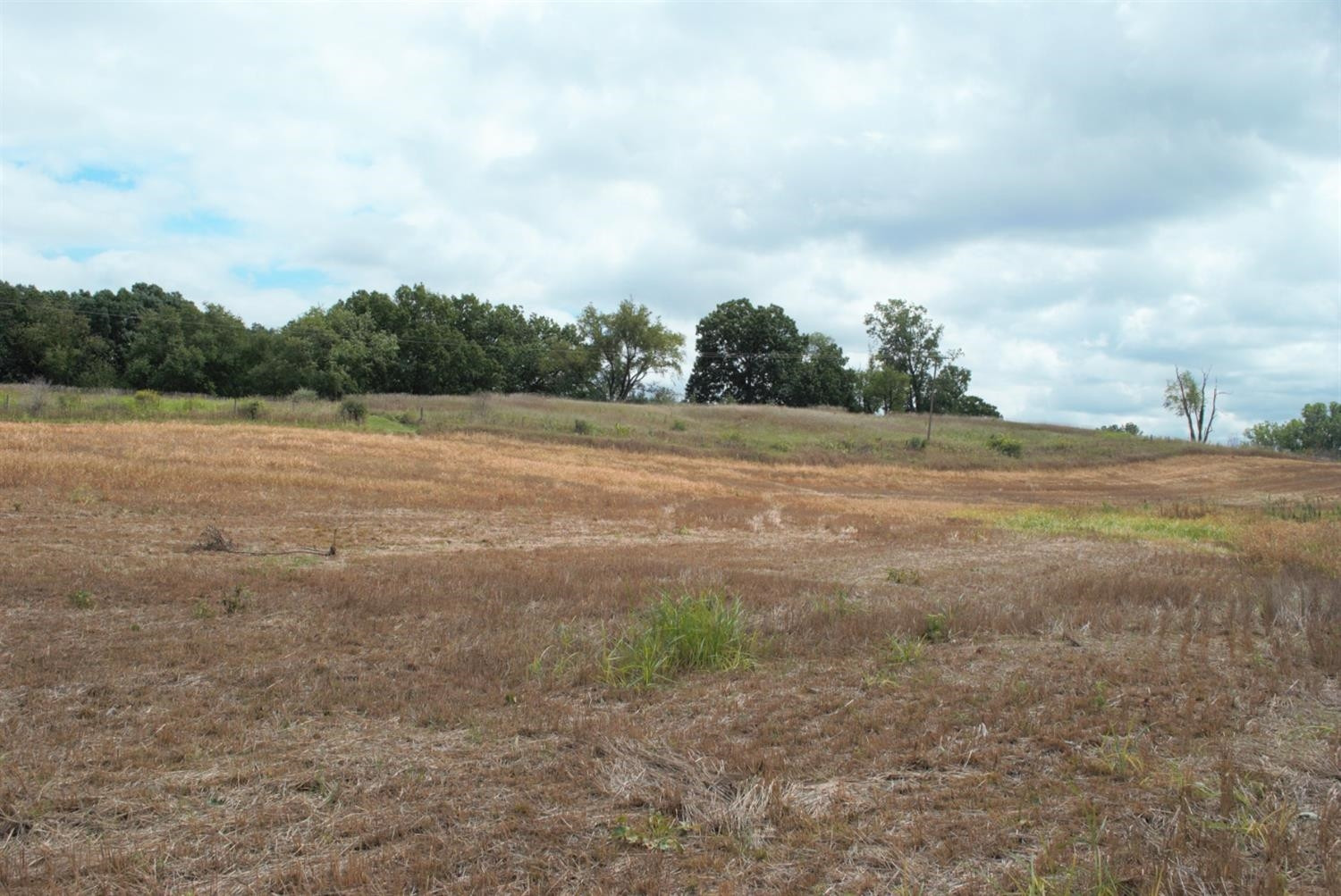 0 Madden Road Dexter, MI 48130 - Photo 15 of 17 Photo 15