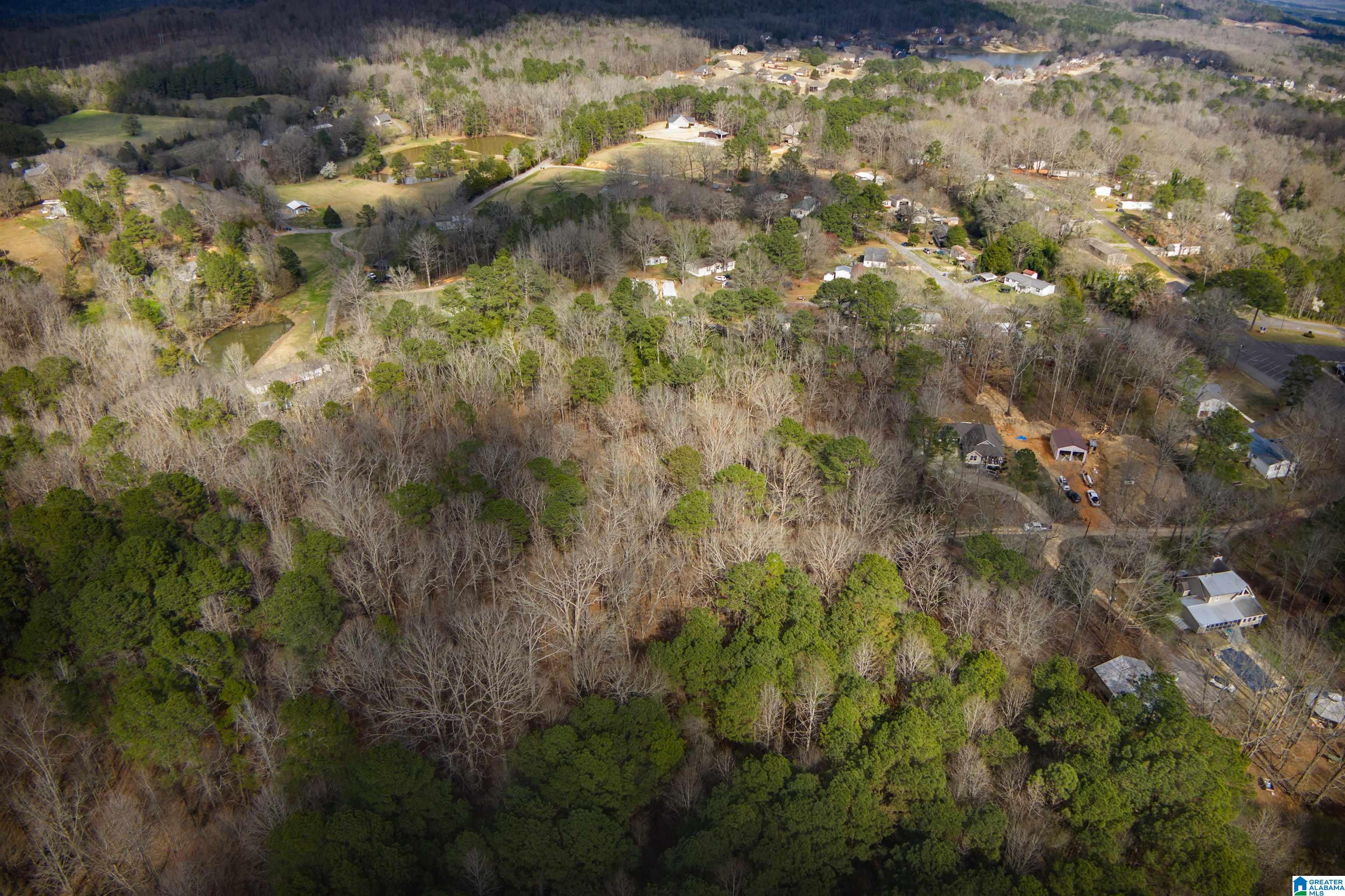 0 Norman Street Springville, AL 35146 - Photo 12 of 15