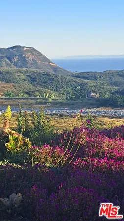 a view of a garden with plants and bench