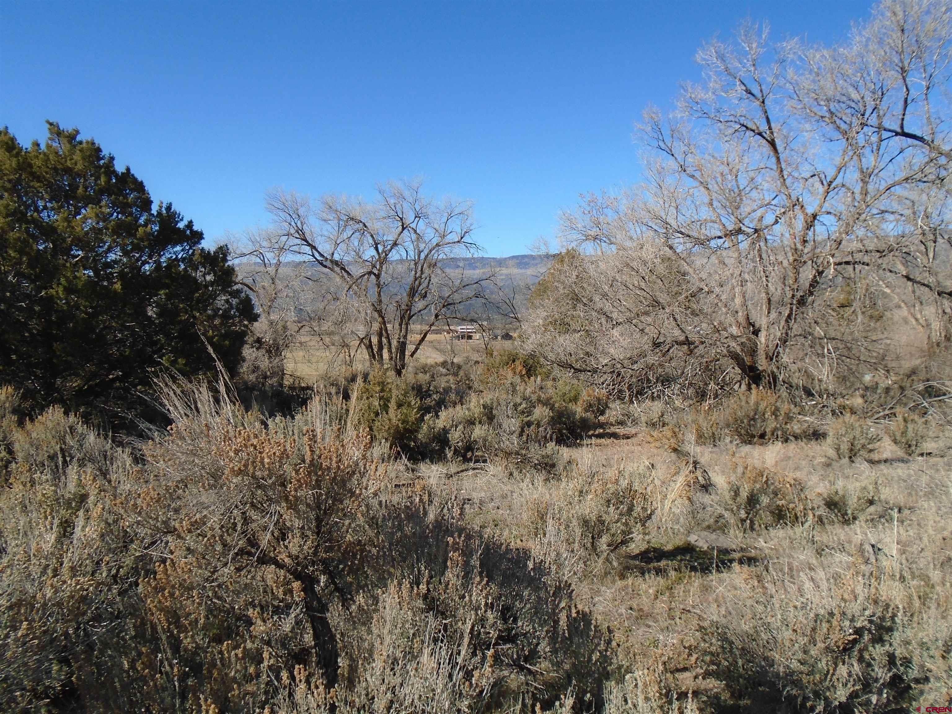 Tbd Tbd 2325th Road Cedaredge, CO 81413 - Photo 4 of 11 a view of a dry yard