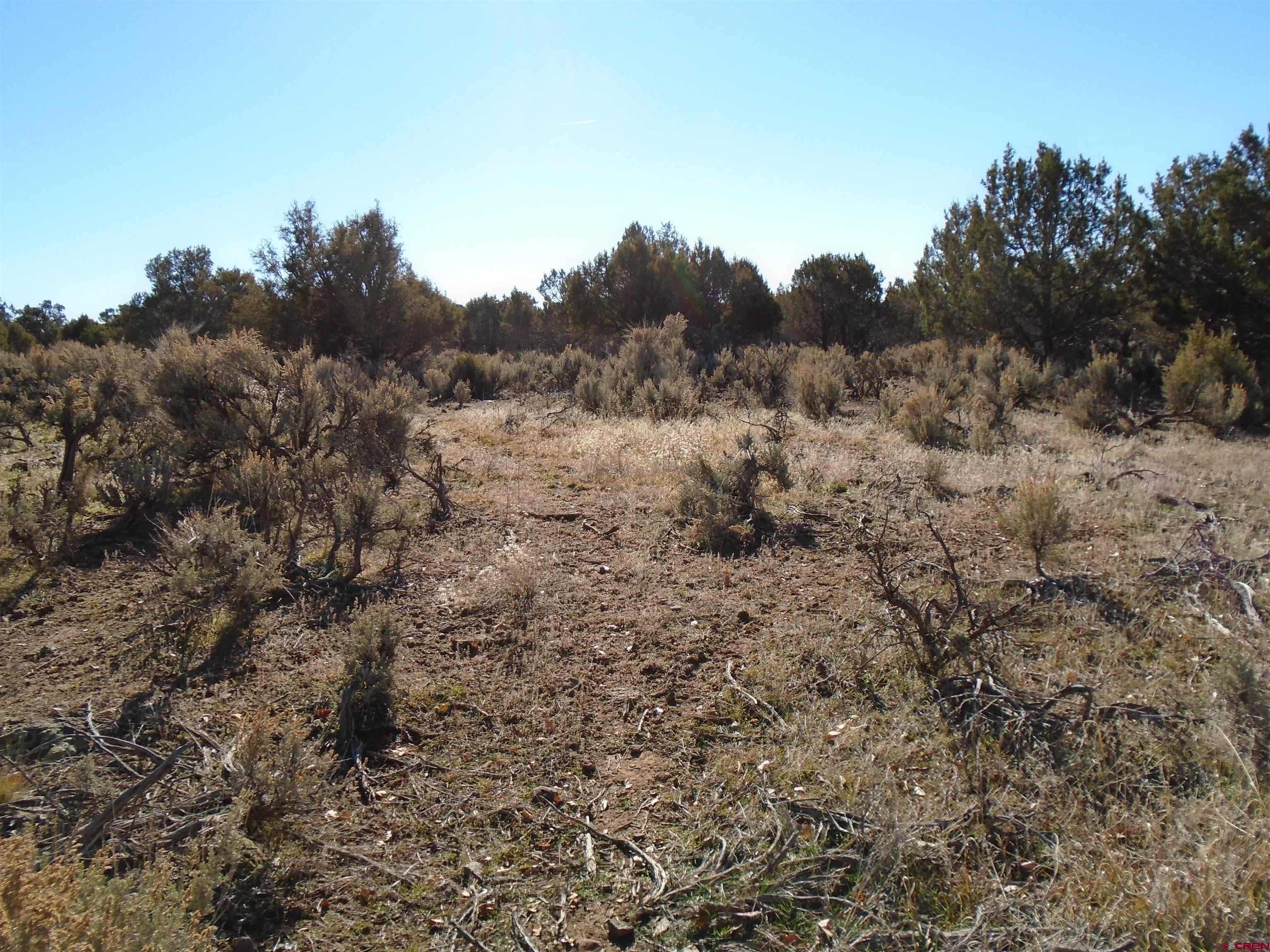 Tbd Tbd 2325th Road Cedaredge, CO 81413 - Photo 8 of 11 a view of a dry field with trees in the background