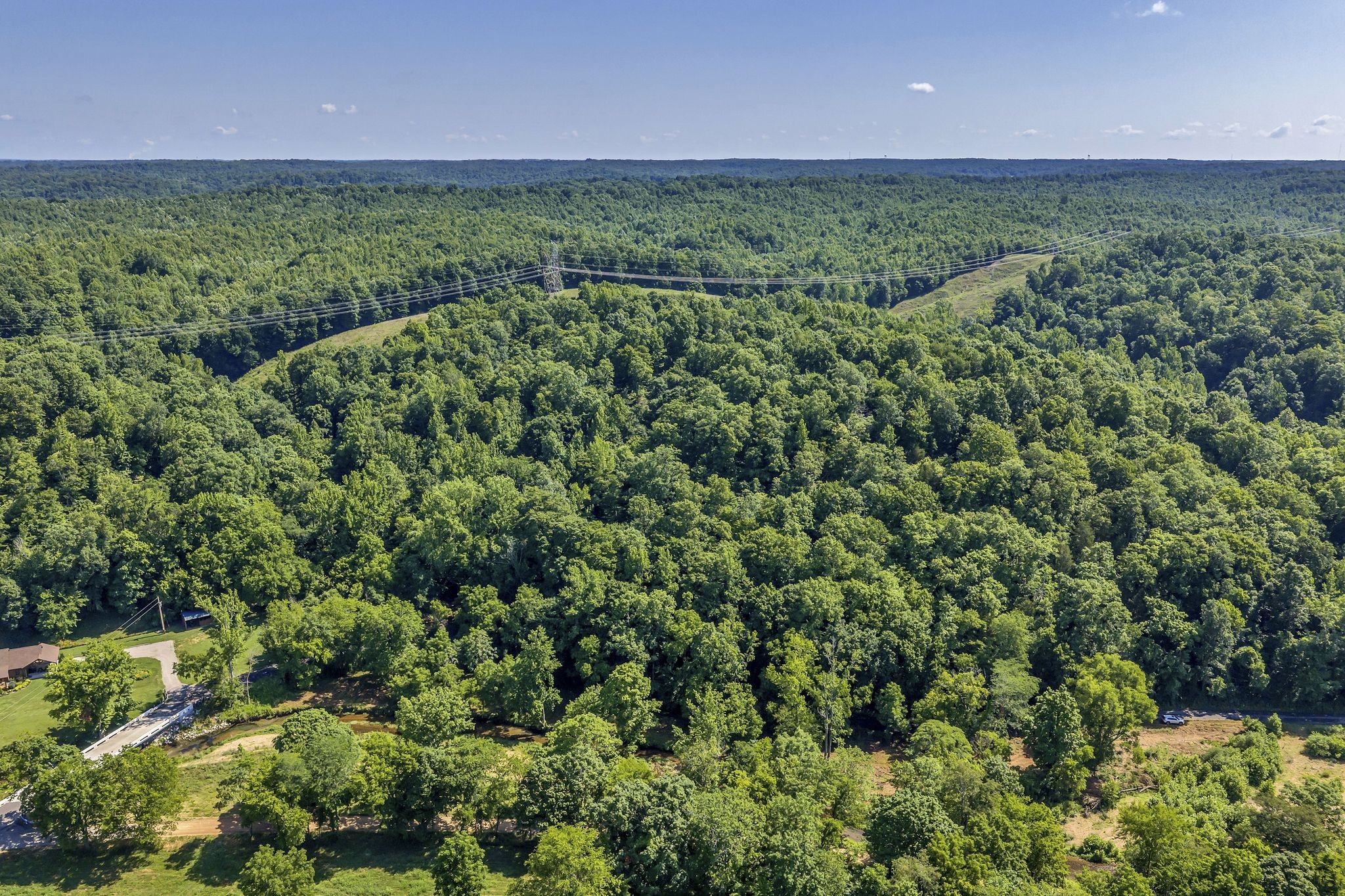 0 East Blue Creek Road McEwen, TN 37101 - Photo 8 of 17