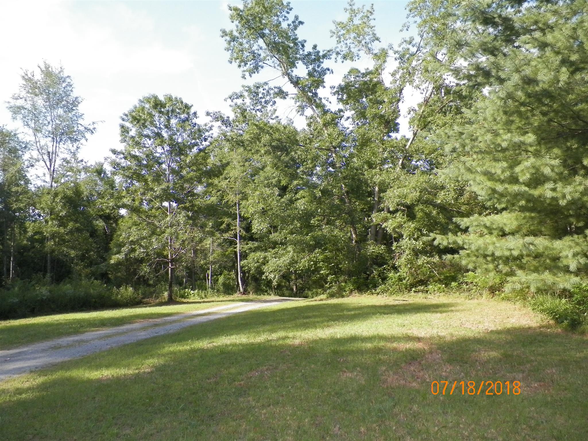 267 Running Meadows Road Portland, TN 37148 - Photo 20 of 25 a view of yard with green space