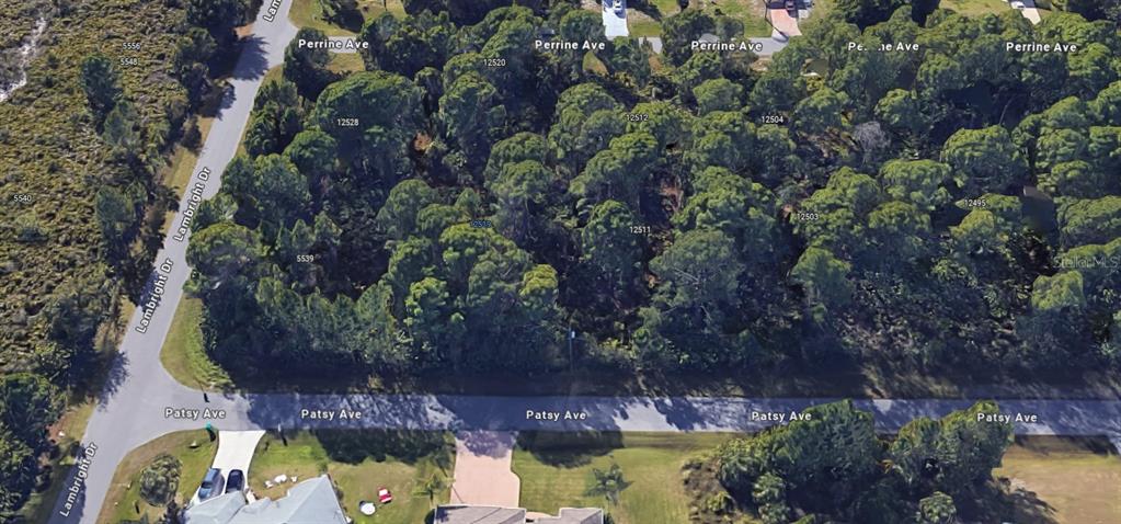 12519 Patsy Avenue Port Charlotte, FL 33981 - Photo 10 of 14 an aerial view of residential house with outdoor space and swimming pool