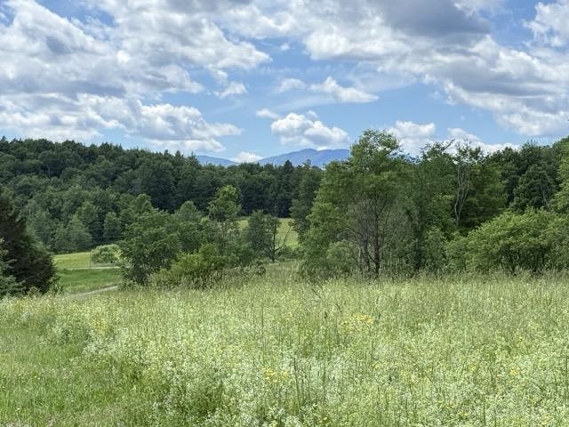 0 Battle Row Road Hyde Park, VT 05655 - Photo 5 of 19