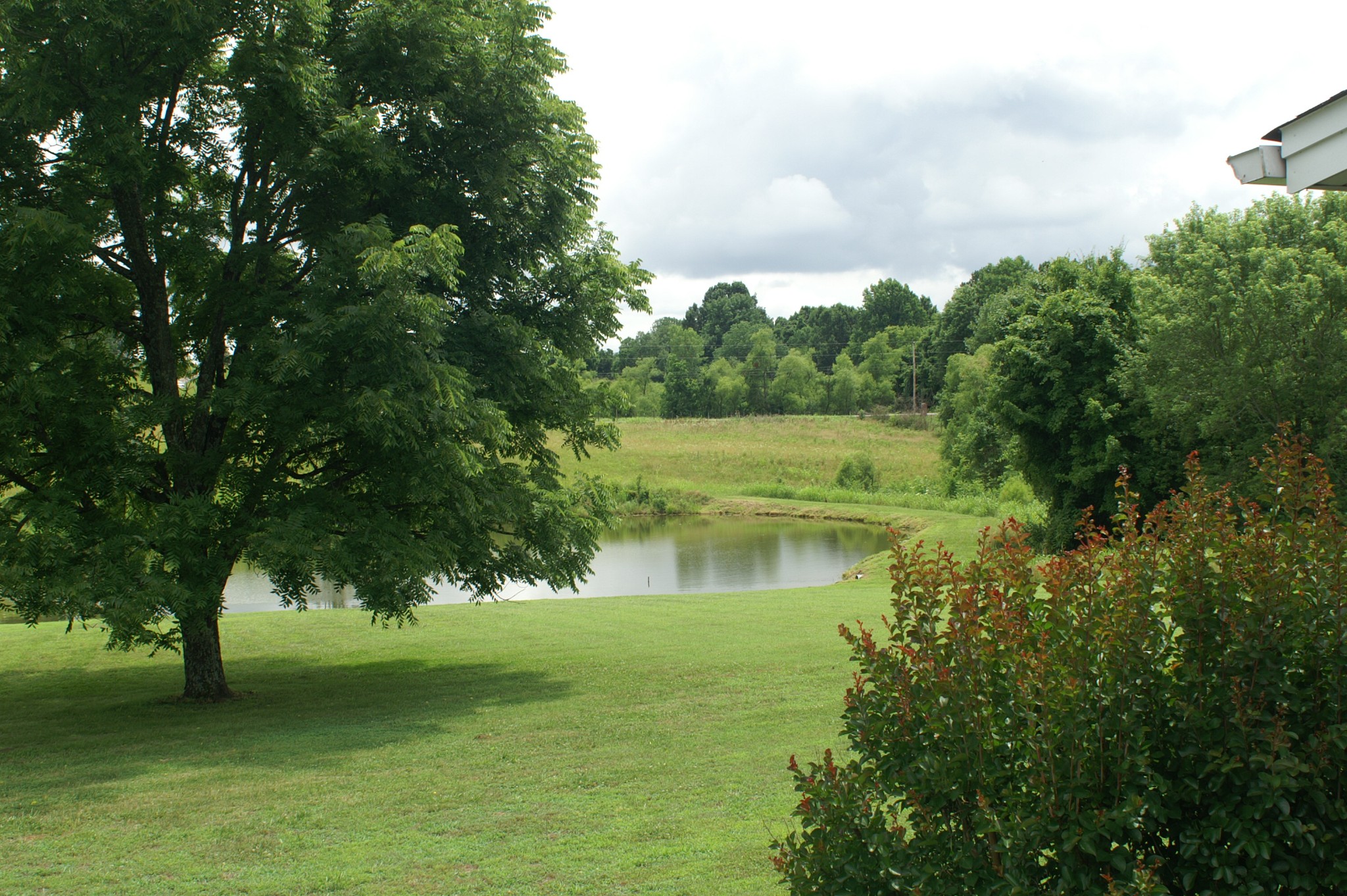4765 Hickory Ridge Road Lebanon, TN 37087 - Photo 3 of 41 a view of a water pond with green space