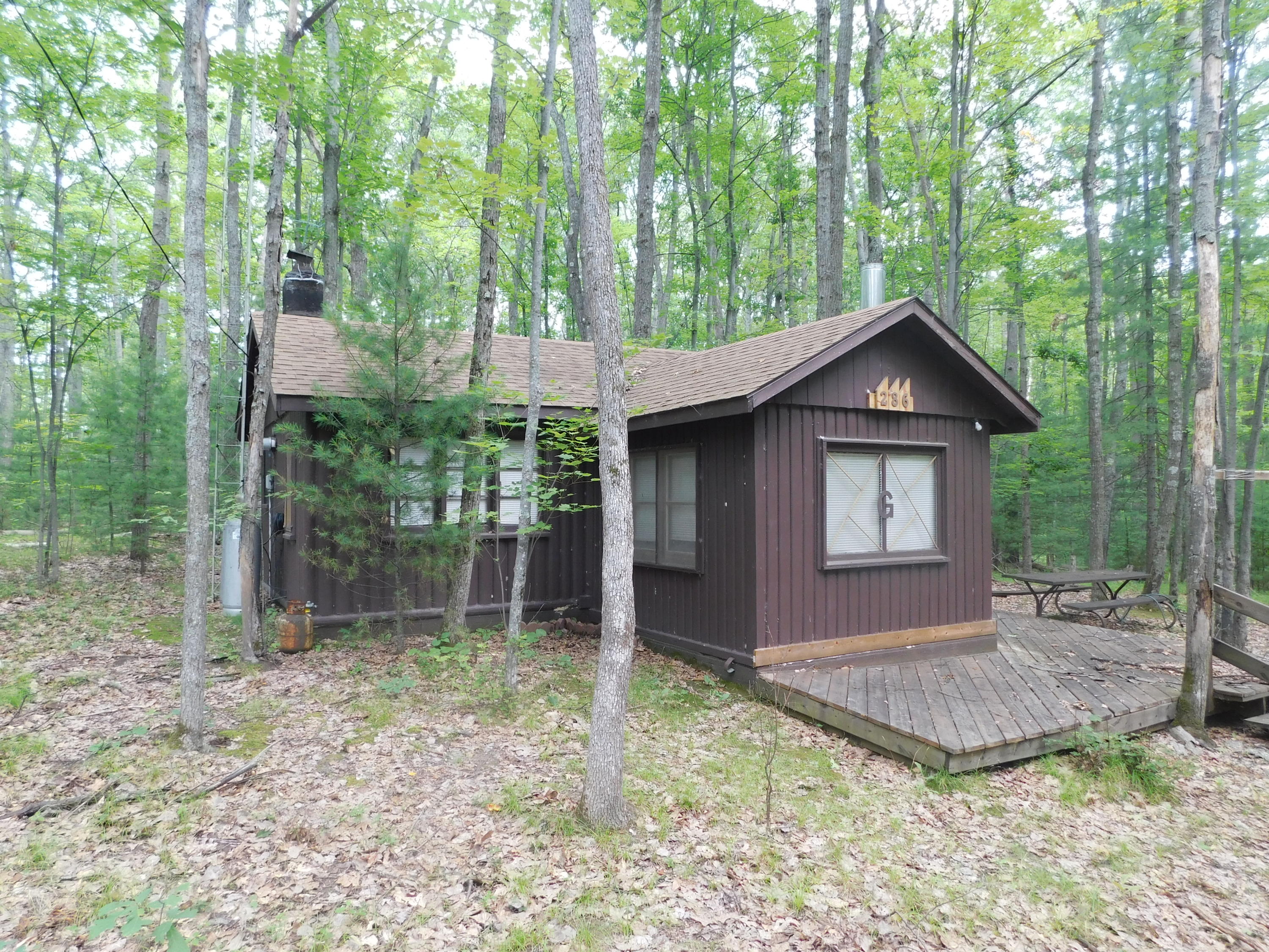 286 Loon Lake Loop Road Rose City, MI 48654 - Photo 1 of 13 Gallery Image 1