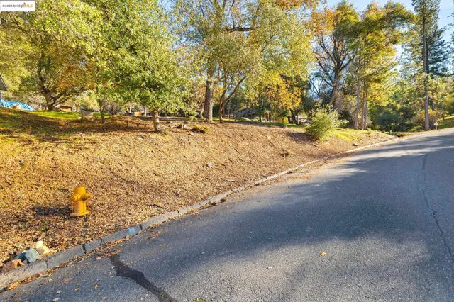 a view of outdoor space and yard