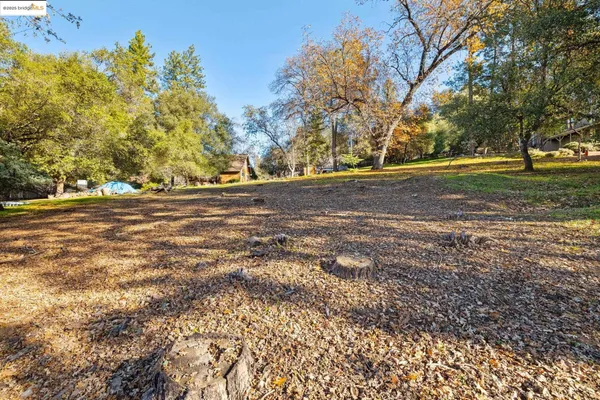 a view of a dry yard