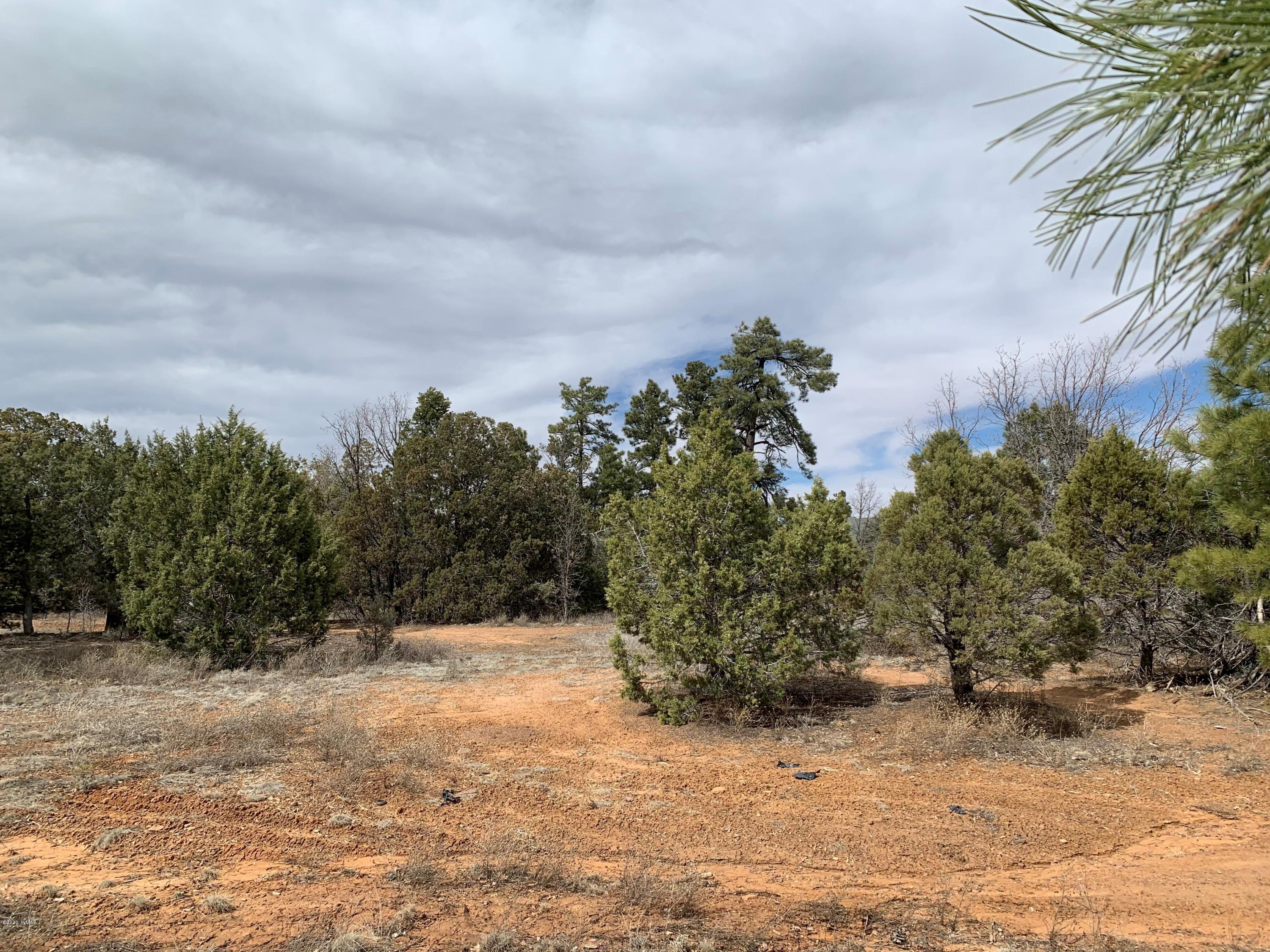 Tbd West Miller Show Low, AZ 85901 - Photo 5 of 7 a view of a dry yard with trees