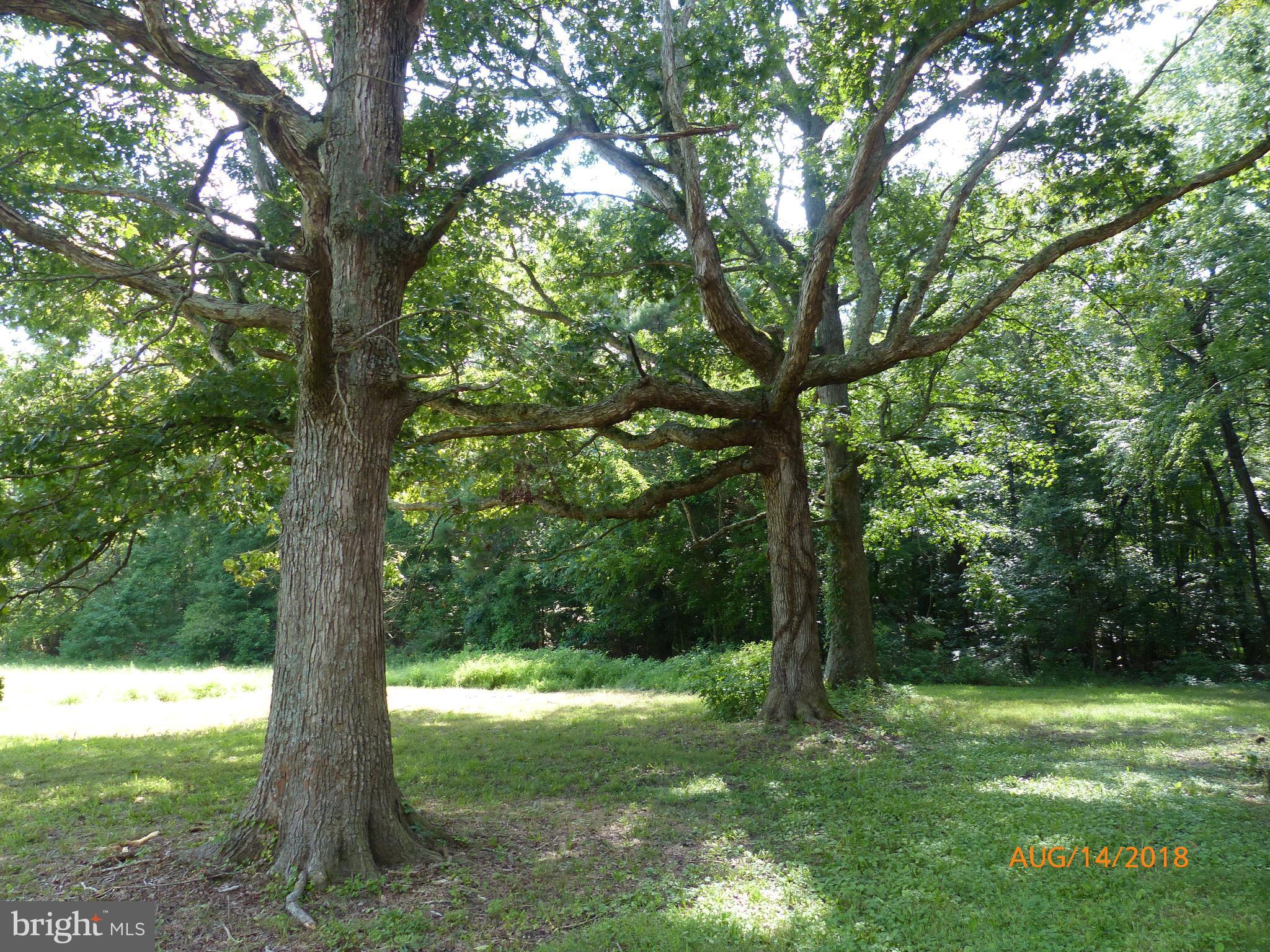 26071 Hobbs Road Denton, MD 21629 - Photo 14 of 30 View