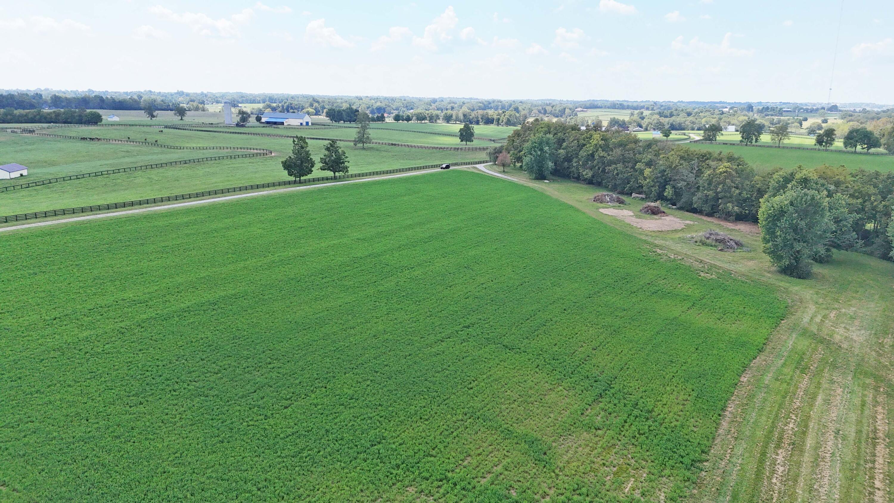 3469 Winchester Road Lexington, KY 40509 - Photo 70 of 86 50