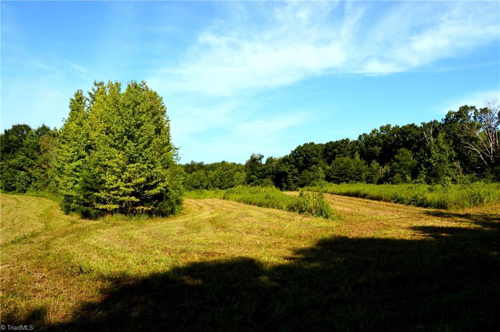 0 Stadler Road Elon, NC 27244 - Photo 12 of 45 Gallery Image 12