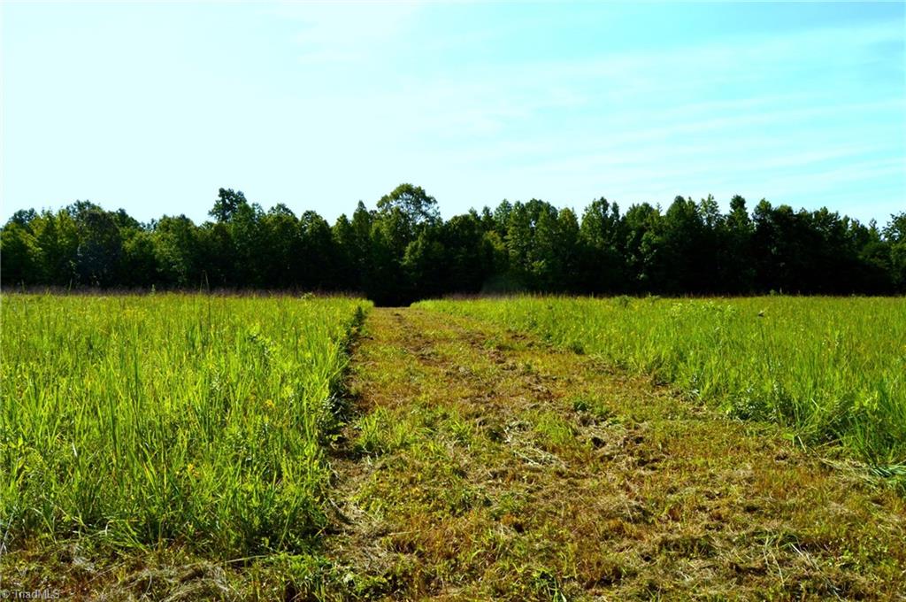 0 Stadler Road Elon, NC 27244 - Photo 18 of 45 Gallery Image 18