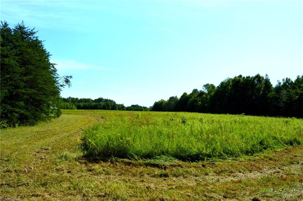 0 Stadler Road Elon, NC 27244 - Photo 20 of 45 Gallery Image 20