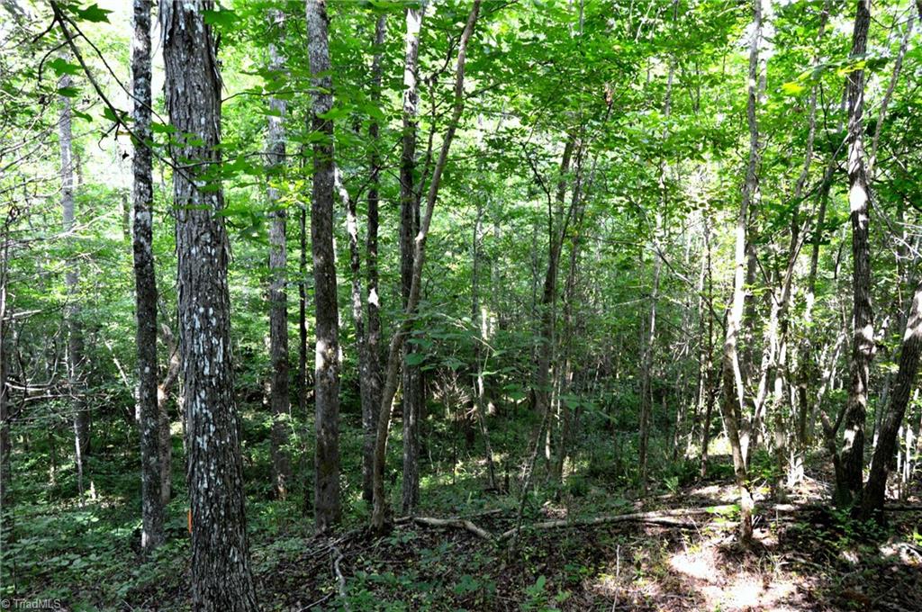 0 Stadler Road Elon, NC 27244 - Photo 22 of 45 Gallery Image 22