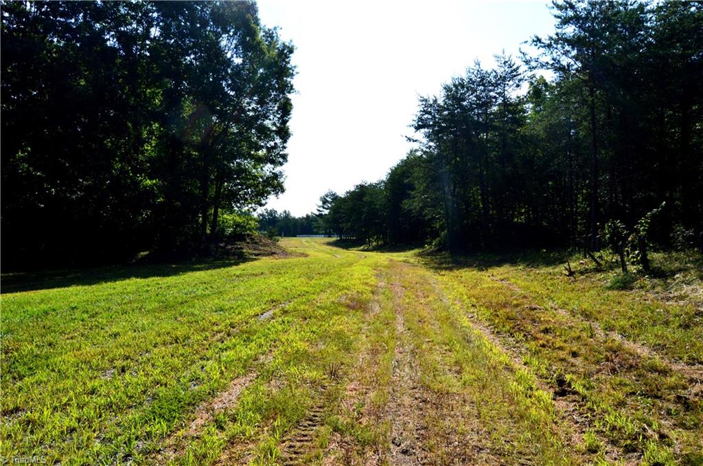 0 Stadler Road Elon, NC 27244 - Photo 3 of 45 Gallery Image 3