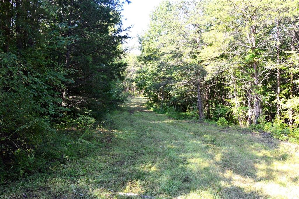 0 Stadler Road Elon, NC 27244 - Photo 5 of 45 Gallery Image 5