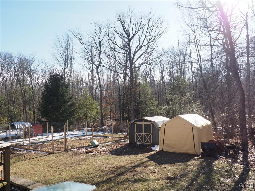 147 Williams Road Cresco, PA 18326 - Photo 3 of 35 a view of a yard with plants and trees