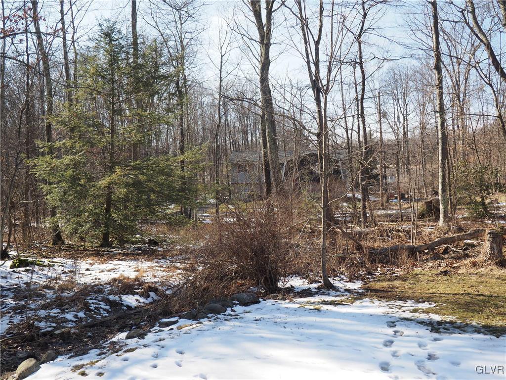 147 Williams Road Cresco, PA 18326 - Photo 34 of 35 a view of a yard with trees