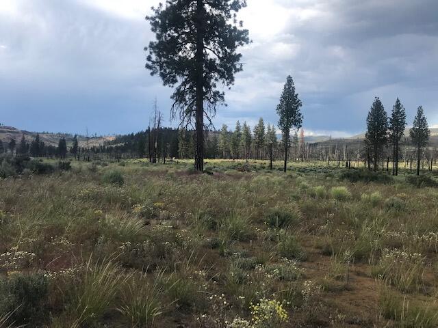30 Ruffed Grouse Lane, Unit 29 Chiloquin, OR 97624 - Photo 11 of 25 Seems like you can see for miles.