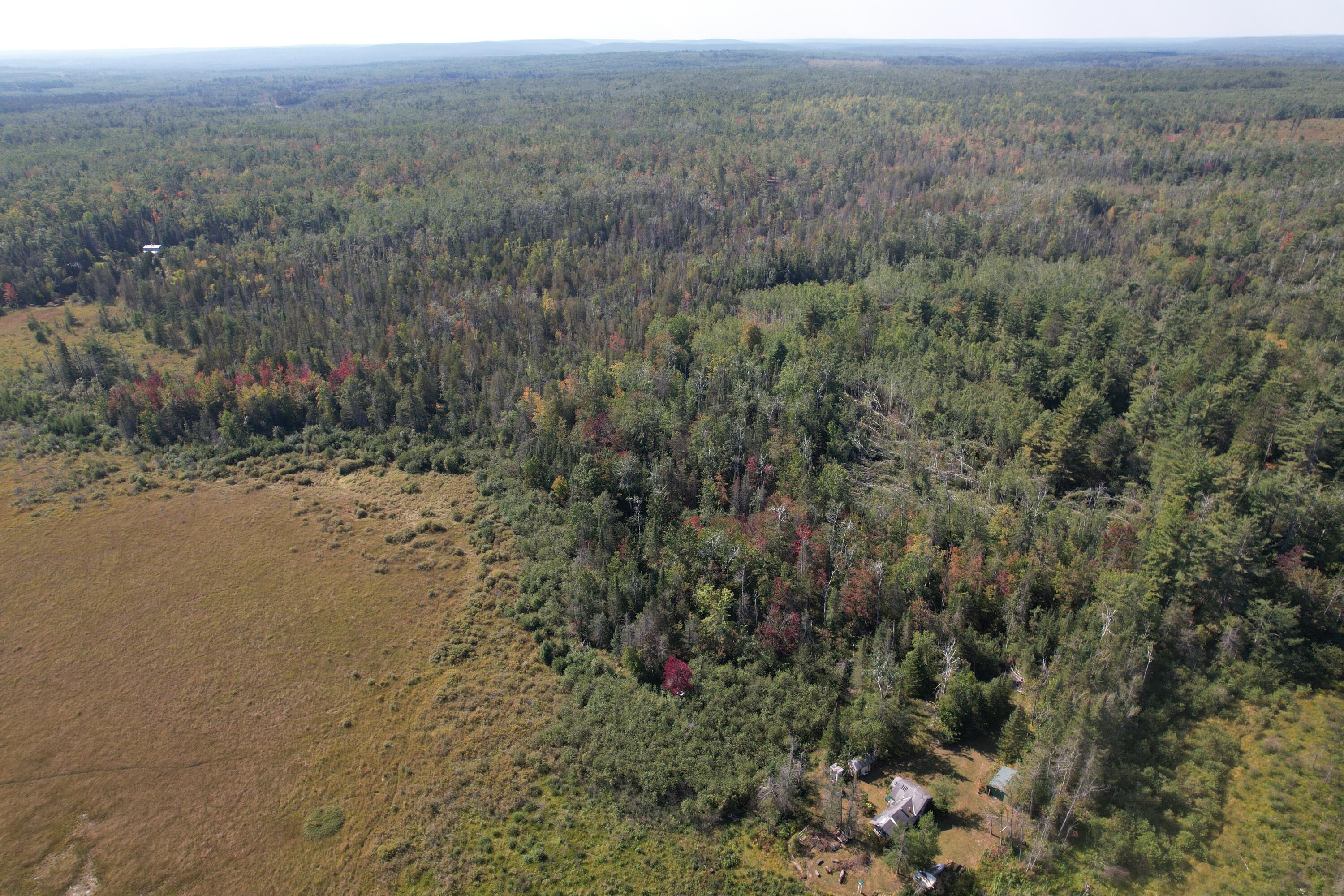 14200 Brown Road Atlanta, MI 49709 - Photo 13 of 16 dji_fly_20250917_143824_89_1758134662978