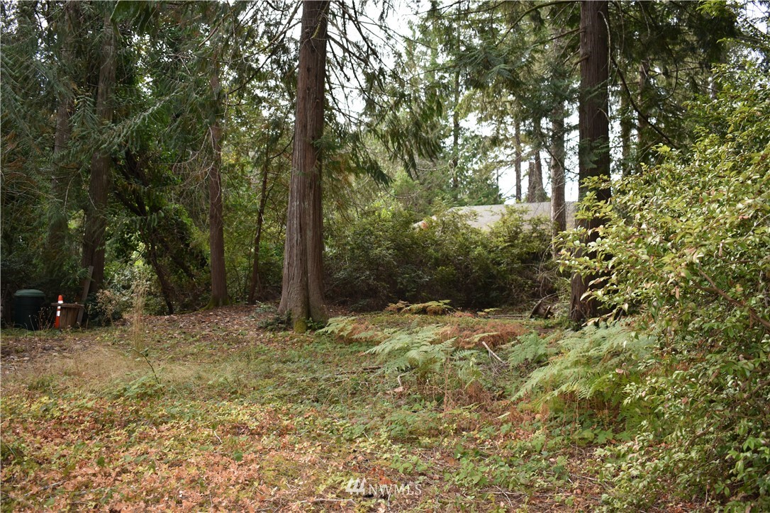 160 East Canyon View Road Belfair, WA 98528 - Photo 2 of 18