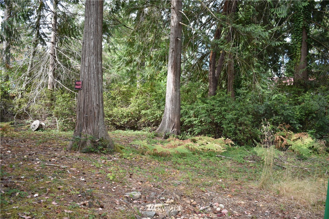 160 East Canyon View Road Belfair, WA 98528 - Photo 3 of 18