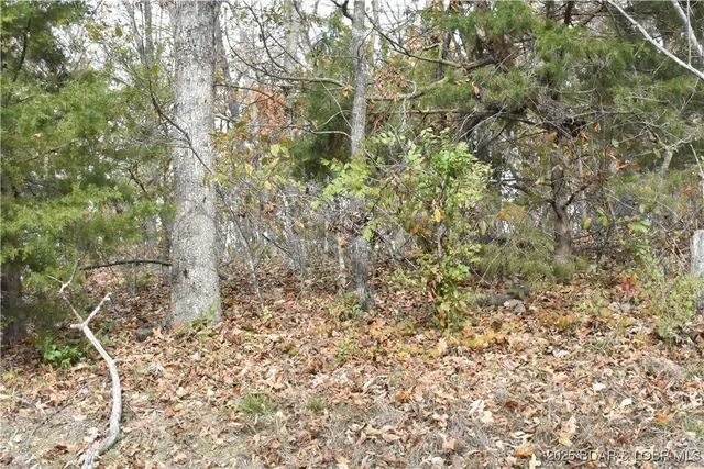 $12,000 | Lot 220 Imperial Point Dr Lake, Lake Ozark, MO 65049