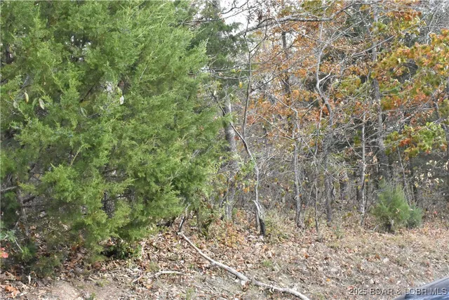 $12,000 | Lot 220 Imperial Point Dr Lake, Lake Ozark, MO 65049