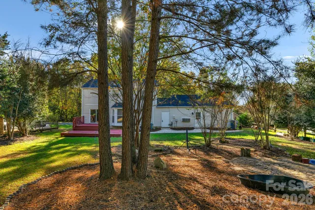a view of a yard with a tree
