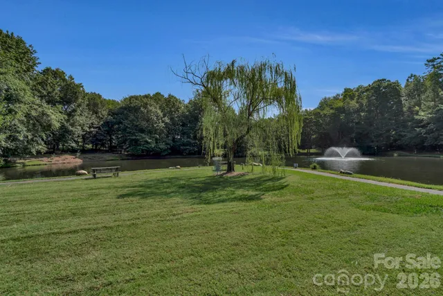 a view of a park with large trees
