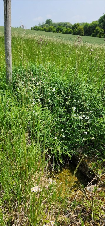 0 Townline Road Middlesex, NY 14507 - Photo 11 of 28