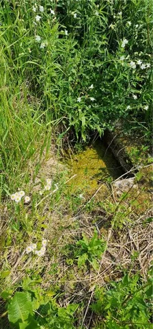 $950,000 | 0 Townline Road, Middlesex, NY 14507