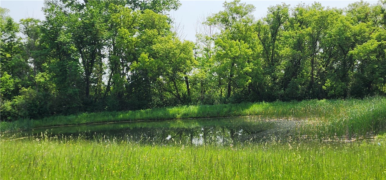 0 Townline Road Middlesex, NY 14507 - Photo 14 of 28