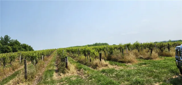 $950,000 | 0 Townline Road, Middlesex, NY 14507