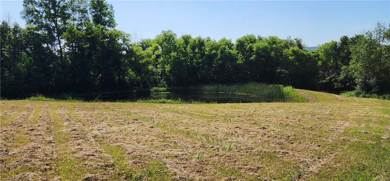 0 Townline Road Middlesex, NY 14507 - Photo 2 of 28